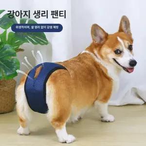 강아지기저귀팬티 암컷 대형견 강아지