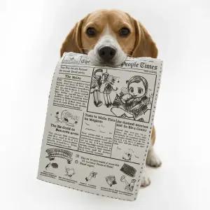 강아지 장난감 노즈워크 훈련 놀이 분리불안 이갈이 바스락북 3장