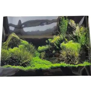 [콩심팥심]열대어 수족관 백스크린 시트지 장식용품 수조꾸미기 거북이사육