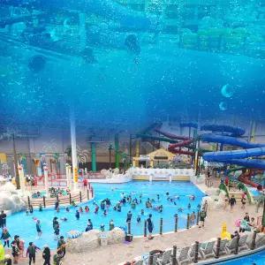 [천안] 상록리조트 아쿠아피아 입장권/워터파크/물놀이/실내수영장/충남/천안/충남가볼만한곳/충남아이와함께
