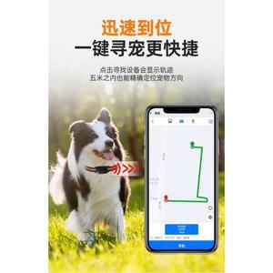 옥 글로벌 강아지위치추적기 애견 GPS 포지셔닝 위치 칼라 분실방지 블랙 없는
