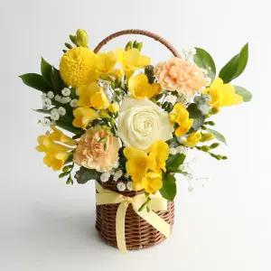 프리지아 생화꽃바구니