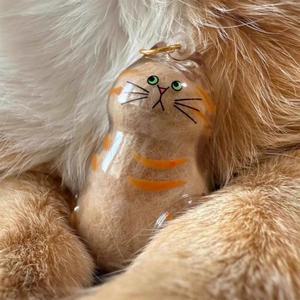 반려동물 털 기념품 보관함 & 병 - 고양이 위한 투명 용기 애호가를 DIY 장식 선물 가정