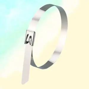 고품질 스테인리스 전선타이 전선정리용 메탈 고정타이 (WFKFFMB)