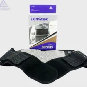 허리 보호대 디스크 헬스 자세 고정 압박 (WFGMZR4)