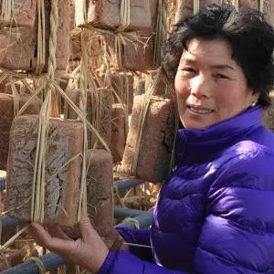 함평 재래식 전통메주/국산콩100% 메주 5덩이