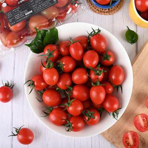 [행복한농부] 고당도 스테비아 방울토마토500g X 2팩