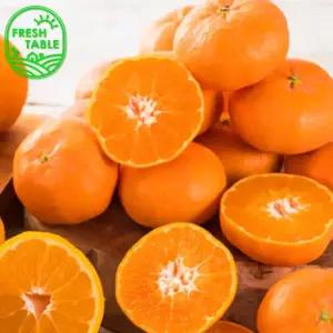 [프레쉬테이블] 제주 레드향 중소과 2.5kg