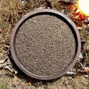 효와농장 햇볕과 바람에 잘 말린 고소한 들깨 생들깨 1kg