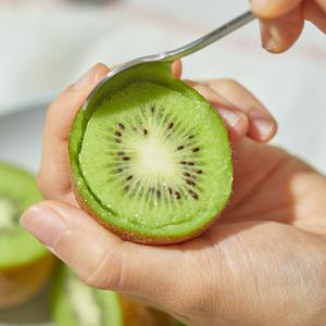 국내산 보성 그린키위 골드키위 5kg