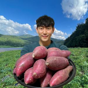 무농약 베니지민 고구마 못난이 꿀 고구마 특 10kg