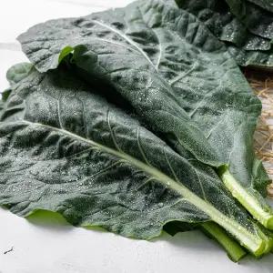 국내산 유기농 즙용 케일 1kg 2kg