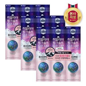 히말라야핑크솔트 바이옴 치약 100g 9개