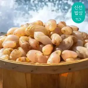 당일바리 생물 오만둥이 1kg (500gX2개) 횟감 섭취 가능