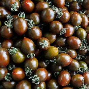 대저흑대추방울토마토 500g