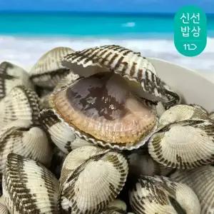 국내산 벌교 꼬막 남해안/ 새꼬막 상품 2kg