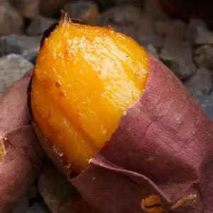 G25년 해남 베니하루카 비세척 밤고구마 10kg (못난이)