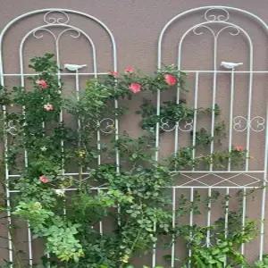 정원 식물 지지대 아치형 철제 프레임 펜스 울타리