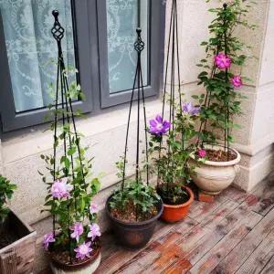 덩굴 식물 프레임 철제 클레마티스 아치 지주대 기둥