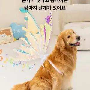 강아지날개 강아지 의상 나비날개 버전 led 할로윈