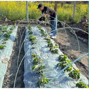 형 지지대 온실 농업용 파이프 길이 마당 조립식