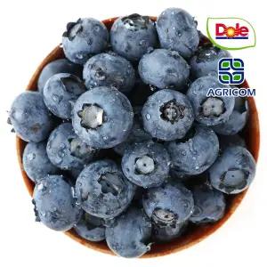 프리미엄 칠레 생 블루베리 (125g x 12개) 총 1.5kg