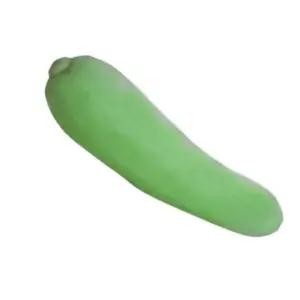 울외씨앗 종자 오이참외 울외오이참외 20립 울외품종씨앗 (WFJ70OH)