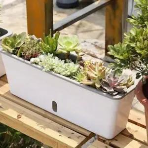 화분 직사각형 베란다 텃밭 책상 양치식물 난간 정원 (WFJ7H8U)