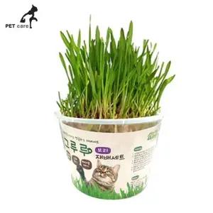 영양제 재배세트 고양이 그루루 보리 (WFJ7UGA)