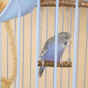 4개 조류용 나무 둥지  자연스럽고 맥세이프한 다용도 스탠딩 브랜치  여러 마리 새를 위한 간편 설치 케이