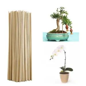 식물 고정 스틱 다육이 화분 텃밭 정원 원예 도구 (WFKBQWE)