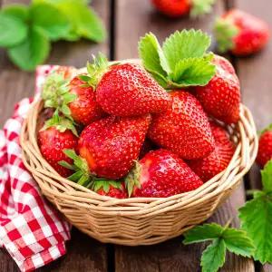 [롯데백화점]맛딜 프리미엄 과즙가득 국내산 금실 딸기 800g