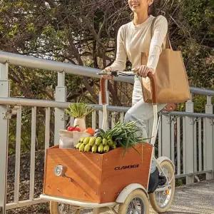 애견자전거 세발 자전거 산책유모차 애완견