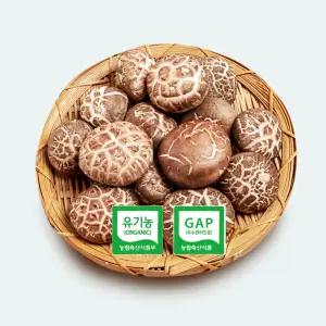 유니버섯스튜디오 참나무원목생표고버섯 1kg