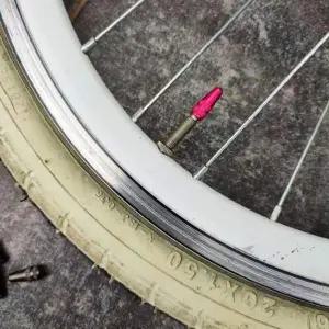 튜브 타이어 자전거 프레스타 공기압 캡 기타자전거용