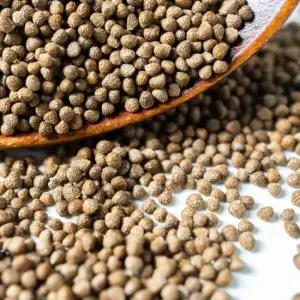 영양 가득! 밥 지어 먹는 볶지 않은 강원도 생 통들깨 500g외 택1 들기름용 들깨가루용