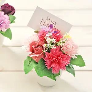 비누꽃 카네이션 화분 핑크 플라워 장식 꽃다발 화기 가든 인테리어 식물 선물