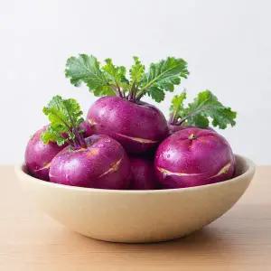 갤러리아 제주직송 아삭달큰 콜라비 10kg 특품(13-18입)