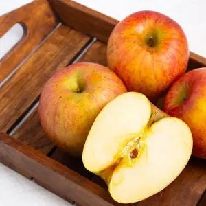 [더조은] 알뜰 꿀사과 부사사과 10kg 흠과 42-46과