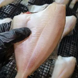 동해안 국내산 반건조참가자미 대사이즈(마리당 135~160g내외) 8미_봉투포장