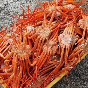 4kg 홍게 A급 국내산 자숙