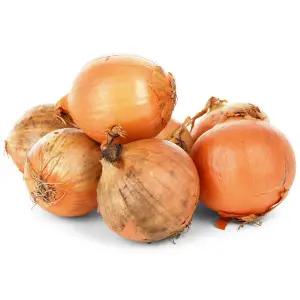 아삭단단 알찬 국내산 흙 양파 5kg/10kg (박스포함)