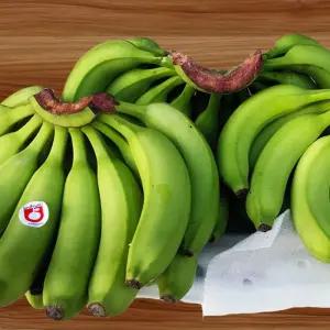 [거북농산] 생 그린 바나나 13kg내외(요리용)