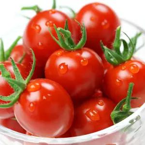 망고향 스테비아 방울토마토 토망고 스윗마토 500g x 4팩 총 2kg