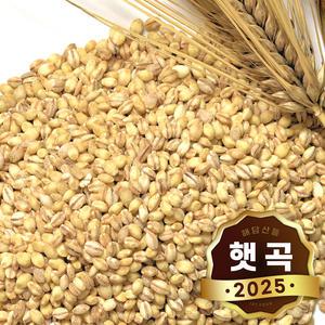 국산 늘보리 500g x 2봉 l 보리밥 겉보리쌀 잡곡
