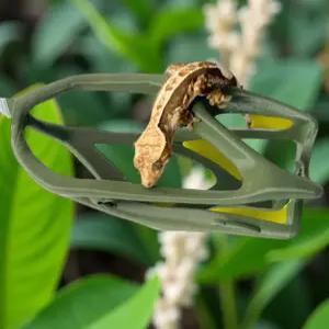 크레백업 게코 분양 사육장 꾸미기 도마뱀 꾸미기 파충류 장식