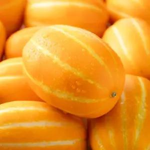 가정용 성주 참외 당도보장 노란빛 시원한 단맛