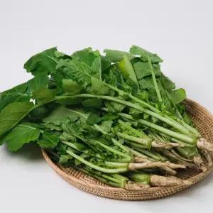 국내산 열무 4kg