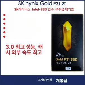 SK하이닉스 골드 P31 NVMe Gen3 SSD 2TB