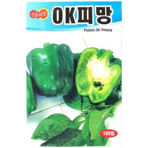 OK피망 100립 26년 고추씨앗